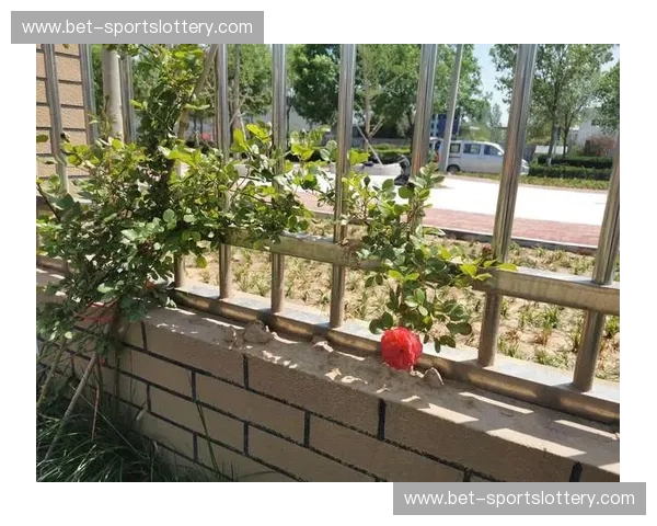 开云体育直播提醒：让每一场比赛不再错过